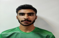 حسین سلطانی
