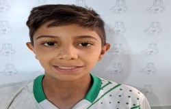 آرش شیخی