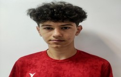 محمد امین هادلو