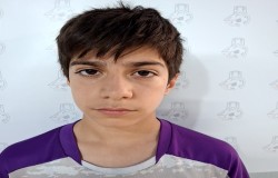 آرتین حمزه لو