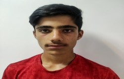 امیر حسین آرش