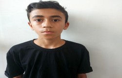 سید آراد حقانی