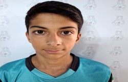 امیرمهدی شاهسونی