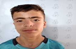 محمدحسین علیزاده
