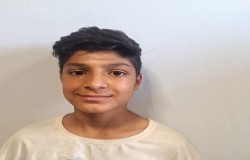 آریا شیخی