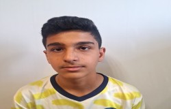 محمدرضا درزی