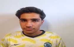 پویا میلانی
