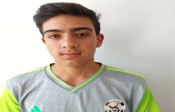 ایلیا محمودی