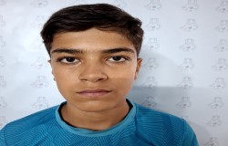 ایلیا مرادپور