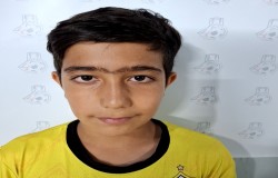 محمدطاها محمودی