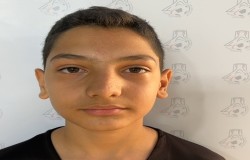 آرتین اردوخانی