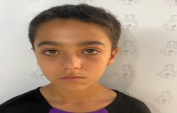 علی هنرور