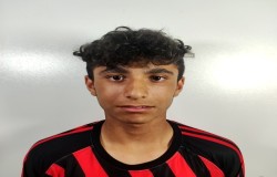 ارتام شاهولی