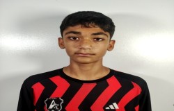 آریا اکبری