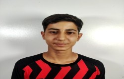 امیرعلی ذوالفعلی