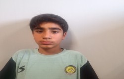 ارسن سلیمانی