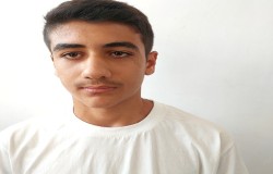 مانی محمودی