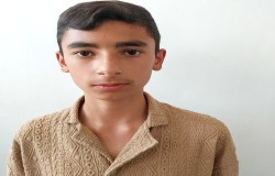 ارسام ارجمندایرلی