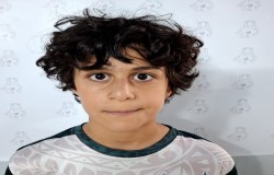 پناه امیری