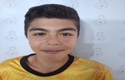 حامد آجورلو