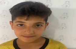 آرسین حالی