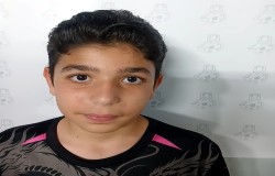 امیر رضا حبیبی