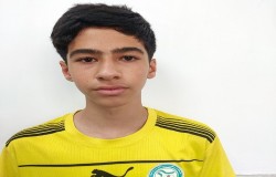 ایلیا سبزی