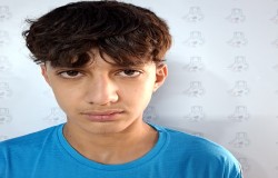 آرتین نیک دهقان
