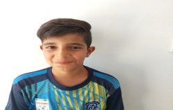 محمد حسین نقی زاده