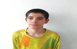 امیر محمد جعفری شاهد