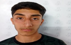 محمدپارسا میری نصرت