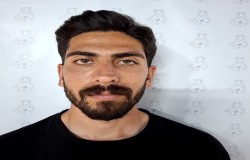 پویا نصرالهی