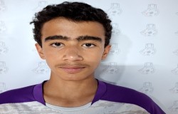 آراد برزگر خلیلی