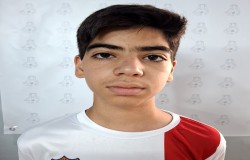 محمد پارسا آسا