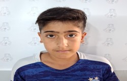 آراد کمانکش