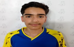 امیر محمد توسلی