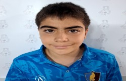 آریا ابراهیمی