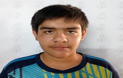 ایلیا میر