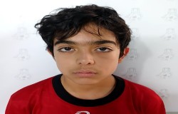 آرشا دولتی