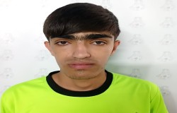 مهرشاد تیموری