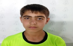 محمد علی پور