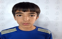 ماهان مروتی