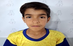 امیرعباس شیبک
