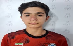 محمد جعفری