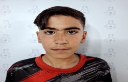 محمد طاها حامد یان