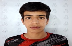 پارسا نایبی