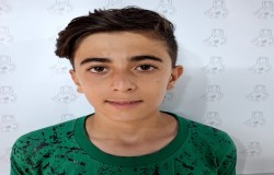 شایان مدرسی