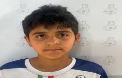 مانی گودرزی