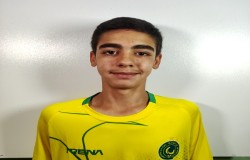 آرتین پناهی