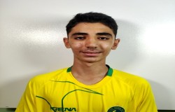 آرشام آرین